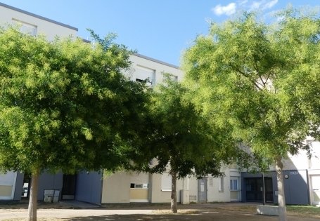 PONT-A-MOUSSON : résidence Fabvier