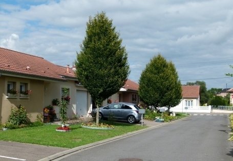 CONFLANS EN JARNISY : Le Clos ROBERT SCHUMAN