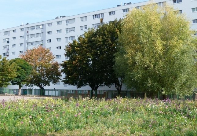 JARVILLE LA MALGRANGE T1B de 22 m2 à 210 €