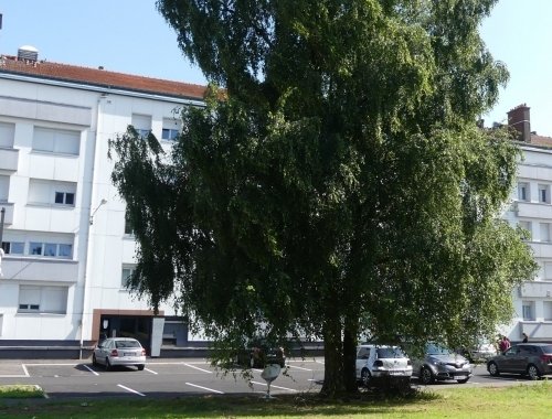 LONGWY T1 de 26 m2 à 253 €