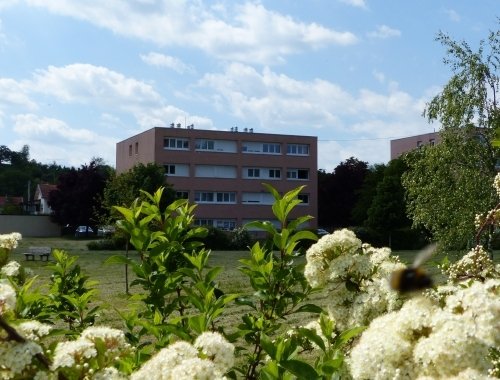 ROVILLE DEVANT BAYON T1 de 34 m2 à 238 €