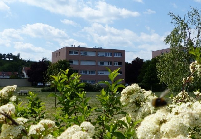 ROVILLE DEVANT BAYON T1 de 34 m2 à 238 €