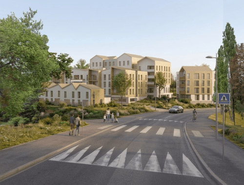 Perspective