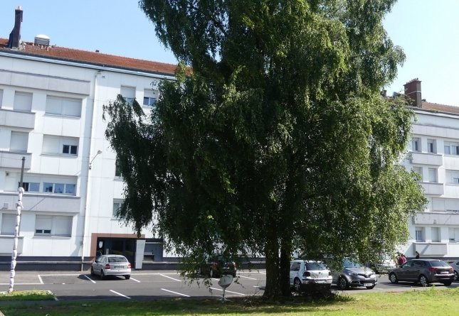 LONGWY T3 de 61 m2 à 334 €